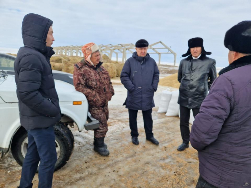 Падеж лошадей в Акмолинской области: представители МСХ выехали в районы