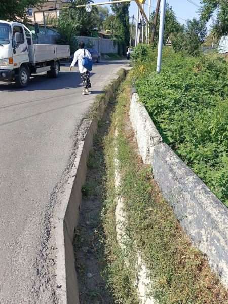 12 лет без воды, а там всё строят. От чего пришли в бешенство жители Ерменсая в предгорьях Алматы