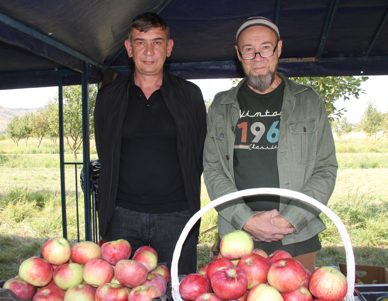 Апорт нашего детства: когда растительный символ Алматы станет элитным продуктом