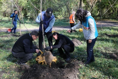 "Алматы – наш общий дом": 1 марта в городе стартует масштабная кампания по благоустройству и озеленению