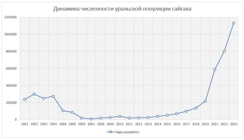 Как сайгаки в Казахстане из сакрального символа степи превратились в подлежащих отстрелу вредителей