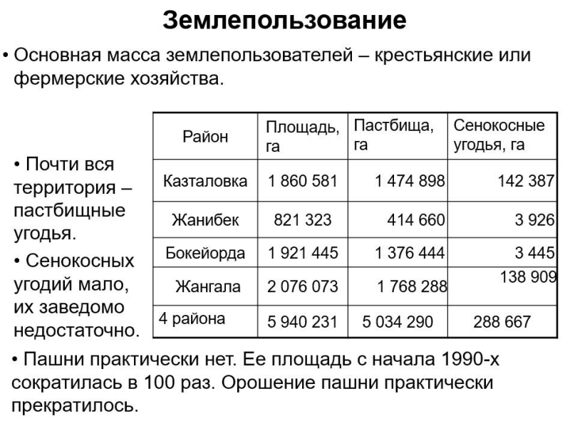 Как сайгаки в Казахстане из сакрального символа степи превратились в подлежащих отстрелу вредителей