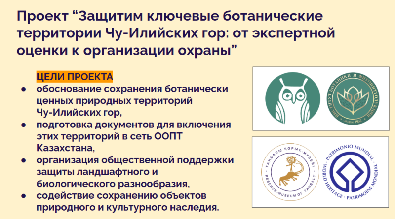 20 миллионов лет — под экскаватор: как в Алматинской области уничтожают уникальное растение