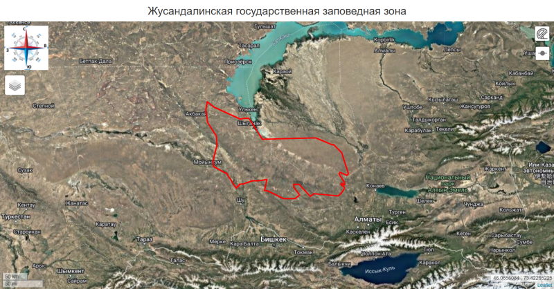 20 миллионов лет — под экскаватор: как в Алматинской области уничтожают уникальное растение