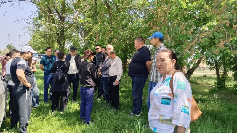 Поля сохнут, а чиновники молчат: в Алматинской области продали землю вместе с оросительным каналом