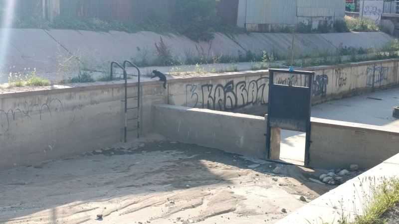 Что сливают в Сайран и можно ли в нём купаться?