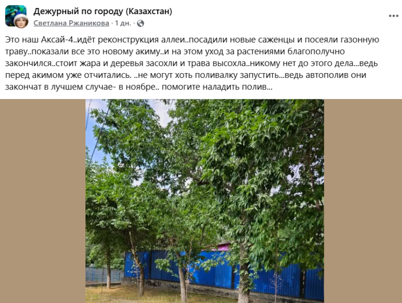 Город мёртвых деревьев: как в Алматы закапывают бюджет на озеленение