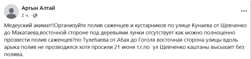 Город мёртвых деревьев: как в Алматы закапывают бюджет на озеленение