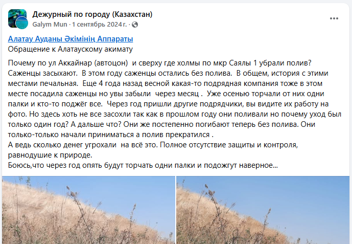 Город мёртвых деревьев: как в Алматы закапывают бюджет на озеленение