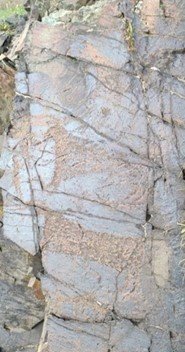 Казахстанские петроглифы могут скрыться под китайским цементом