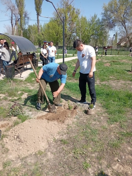 Можно памятник воздвигнуть… А можно посадить (фоторепортаж)