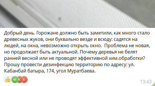 Невероятная вспышка популяции клопов с суперспособностями в Алматы