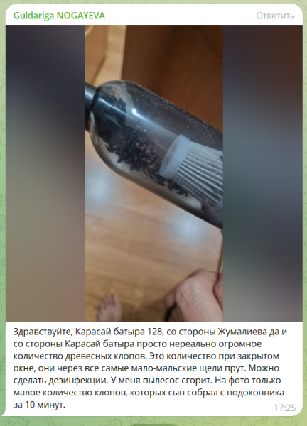 Невероятная вспышка популяции клопов с суперспособностями в Алматы