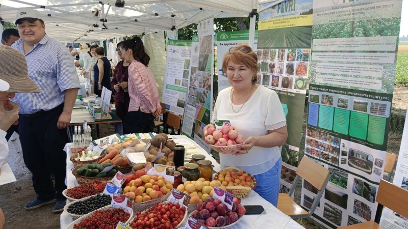 Органика есть, но не для нас: почему чистые продукты в Казахстане выращивают в основном на экспорт?
