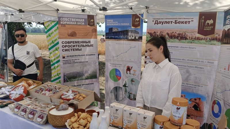 Органика есть, но не для нас: почему чистые продукты в Казахстане выращивают в основном на экспорт?