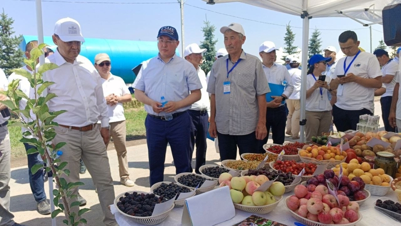 Органика есть, но не для нас: почему чистые продукты в Казахстане выращивают в основном на экспорт?