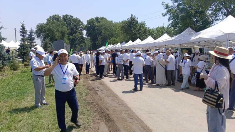 Органика есть, но не для нас: почему чистые продукты в Казахстане выращивают в основном на экспорт?
