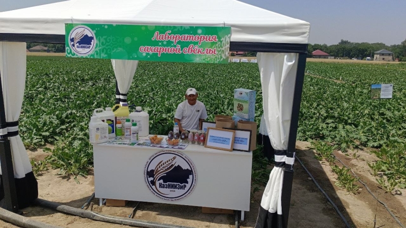 Органика есть, но не для нас: почему чистые продукты в Казахстане выращивают в основном на экспорт?