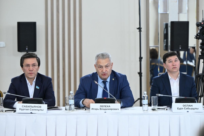 Работу закона о бытовом насилии рассмотрела Общественная палата при Мажилисе