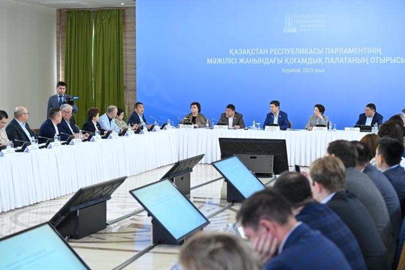 Работу закона о бытовом насилии рассмотрела Общественная палата при Мажилисе