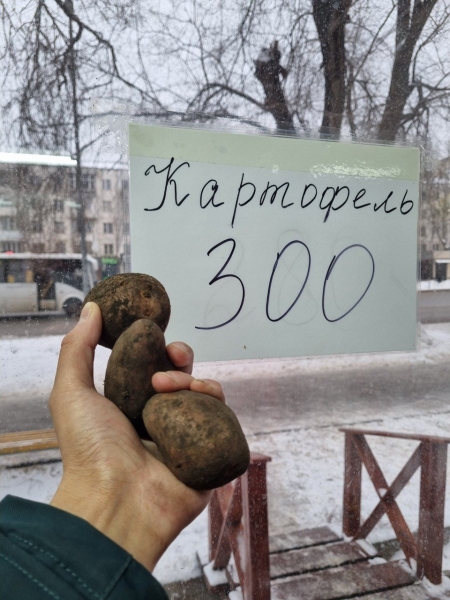 Шоумен Кульгинов и хранитель тайн Ногаев: почему аким ЗКО Турегалиев хуже, чем его предшественники? 
