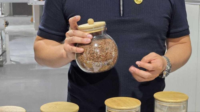 В СКО запустят производство лапши на экспорт в Китай  