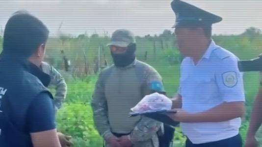 Полицейские выявили крупные наркоканалы: изъято более 750 кг «запрещенки»