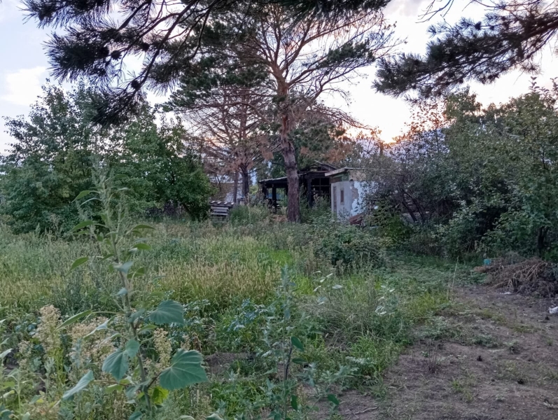 В Павлодаре за год сгорело полсотни дачных домов. Виновных никто не ищет