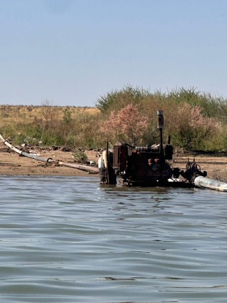 Водный кризис в Шардаре и Кызылорде: почему водохранилище оказалось на грани опустошения