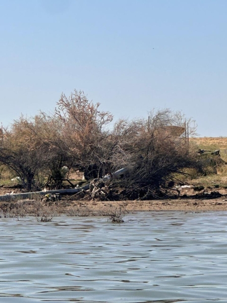 Водный кризис в Шардаре и Кызылорде: почему водохранилище оказалось на грани опустошения