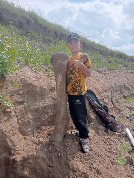 Гигантскую кость мамонта нашёл рыбак на севере Казахстана — фото