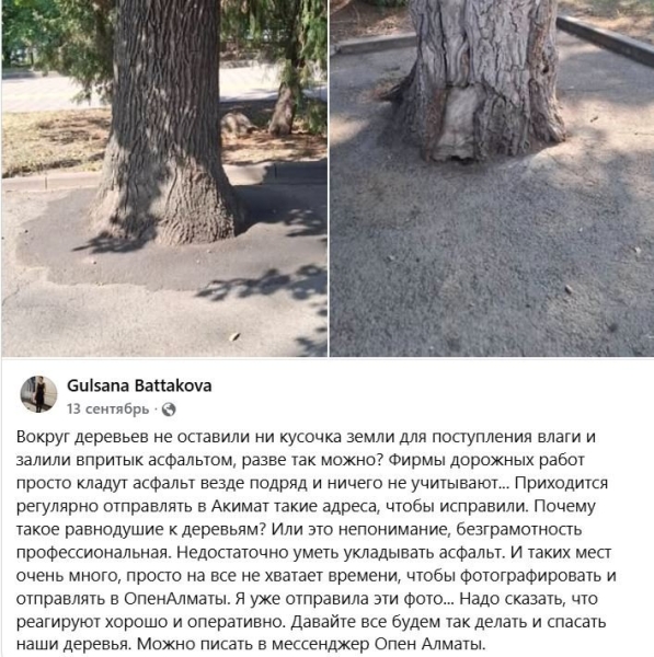 Город-антигубка: зачем Алматы закатывают в асфальт и бетон и почему это опасно?
