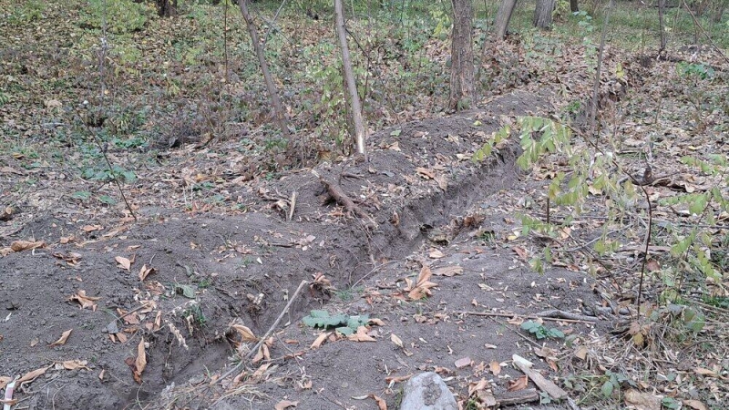 Общественники потребовали прекратить строительные работы в роще Баума в Алматы