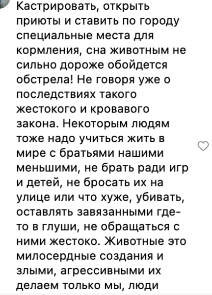 Разрешить убийство: зоозащитники критикуют поправки в закон о бездомных животных