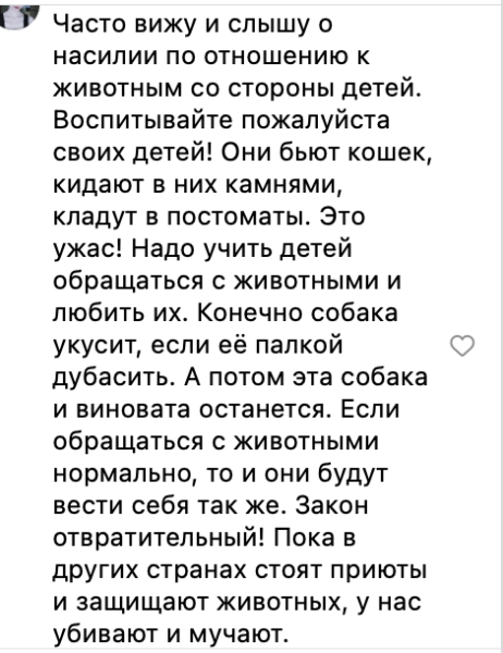 Разрешить убийство: зоозащитники критикуют поправки в закон о бездомных животных