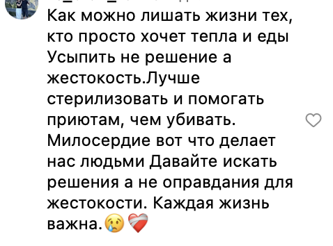 Разрешить убийство: зоозащитники критикуют поправки в закон о бездомных животных