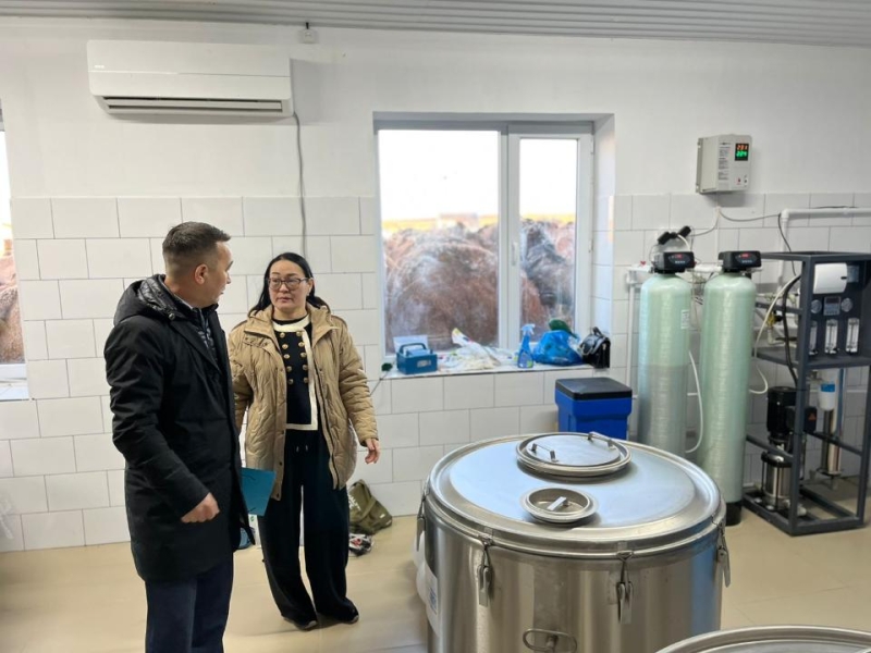 Цех по производству верблюжьего молока открылся в Мангистауской области