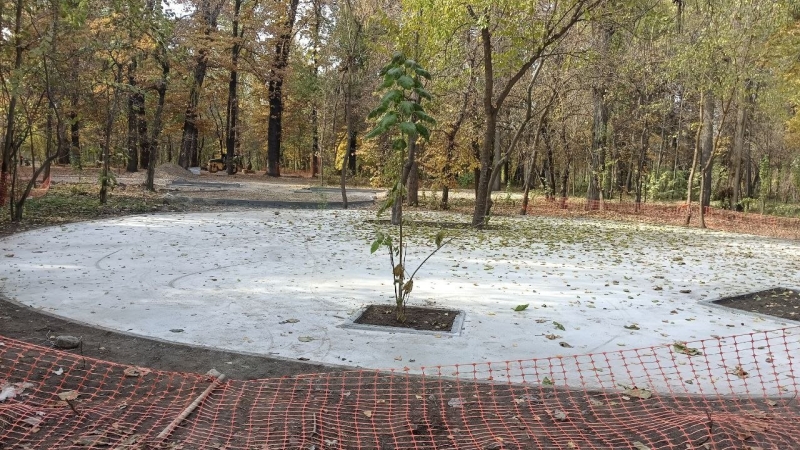 Как три человека решали судьбу рощи Баума и что экоактивисты потребовали от акимата