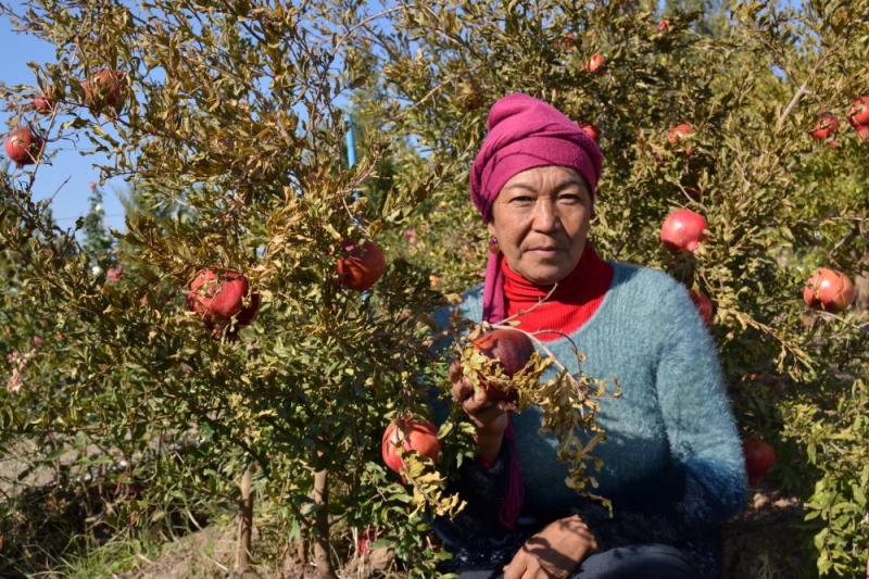 Когда традиции и инновации работают на общее благо