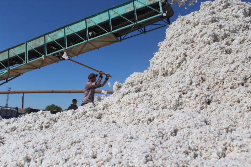 Когда традиции и инновации работают на общее благо