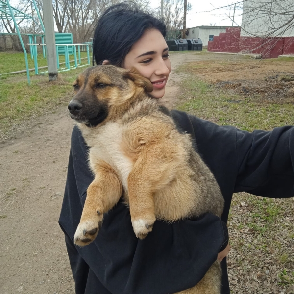 Кошмарный детектив: кто и почему зарезал 14-летнюю Леру в ауле под Астаной