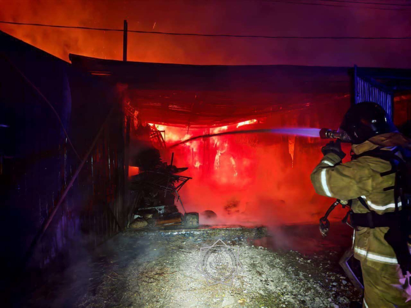 Крупный пожар в Японии тушат уже неделю