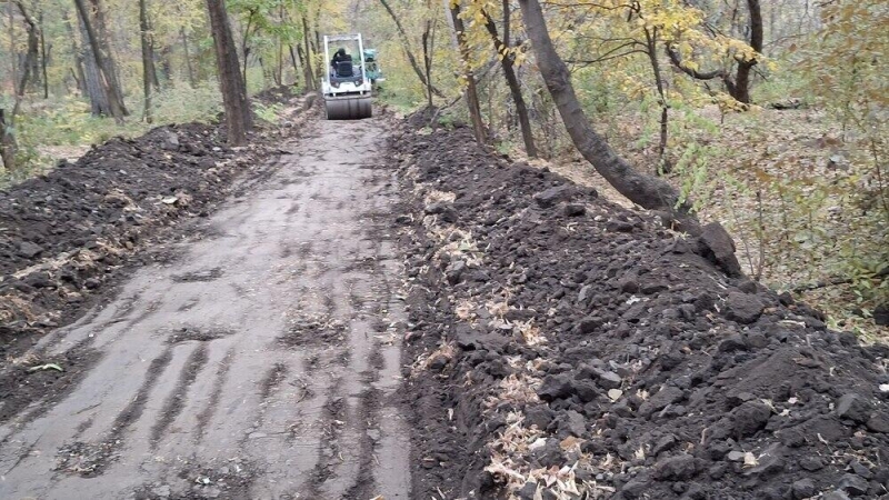 Наносится непоправимый ущерб уникальной природной среде - общественники о строительных работах в роще Баума в Алматы