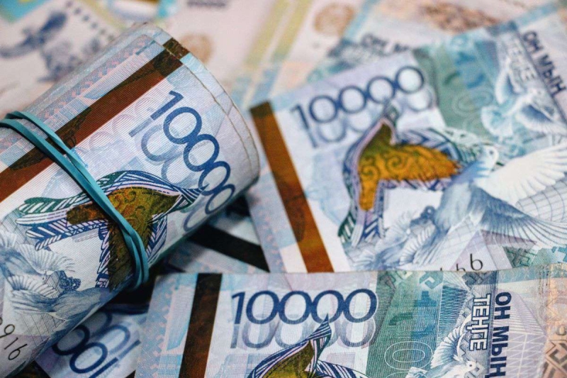 Около 600 млрд тенге выделят на поддержку бизнеса на селе – Токаев