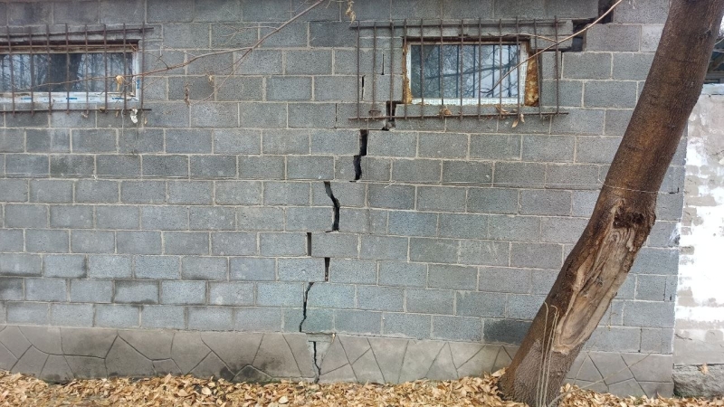 В Алматы замерзают лошади. Почему владельцы ипподрома не пускают их в тёплые конюшни?