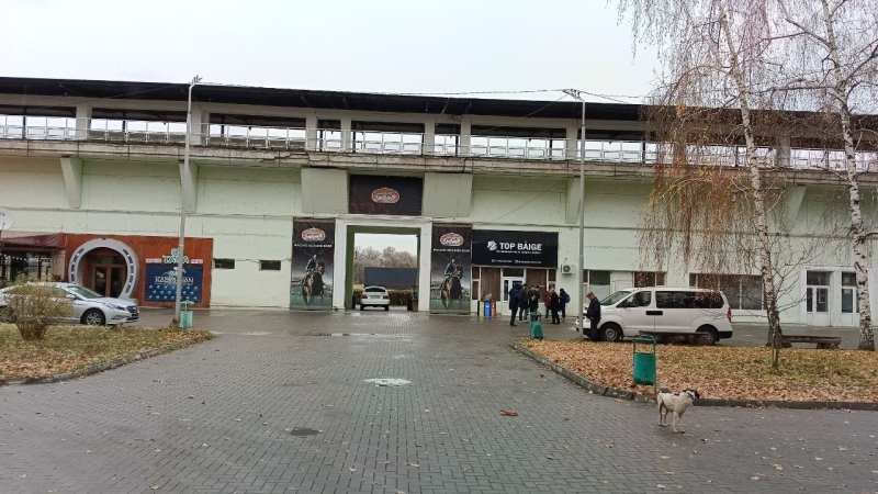 В Алматы замерзают лошади. Почему владельцы ипподрома не пускают их в тёплые конюшни?