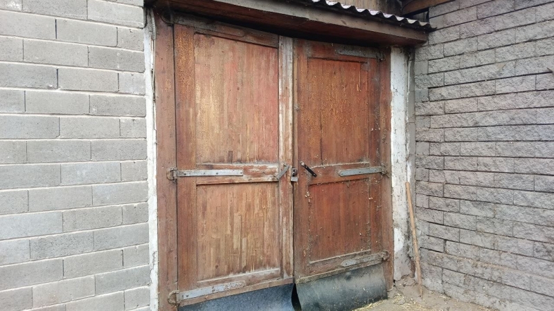 В Алматы замерзают лошади. Почему владельцы ипподрома не пускают их в тёплые конюшни?