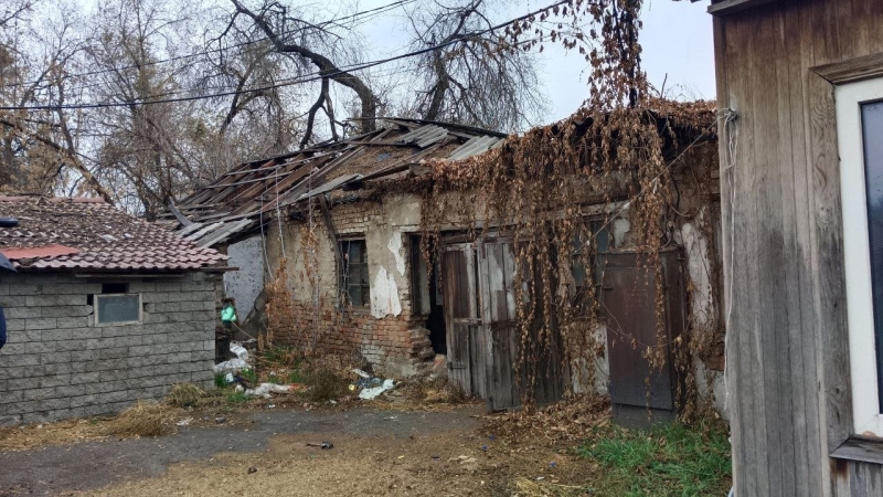 В Алматы замерзают лошади. Почему владельцы ипподрома не пускают их в тёплые конюшни?