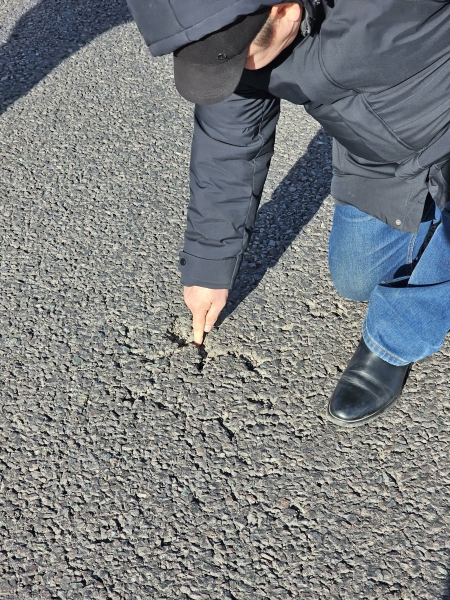 За асфальт критиковать нельзя? Почему китайская CITIC Construction подала в суд на общественника