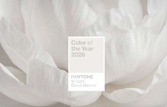 Институт цвета Pantone показал цвет 2026 года